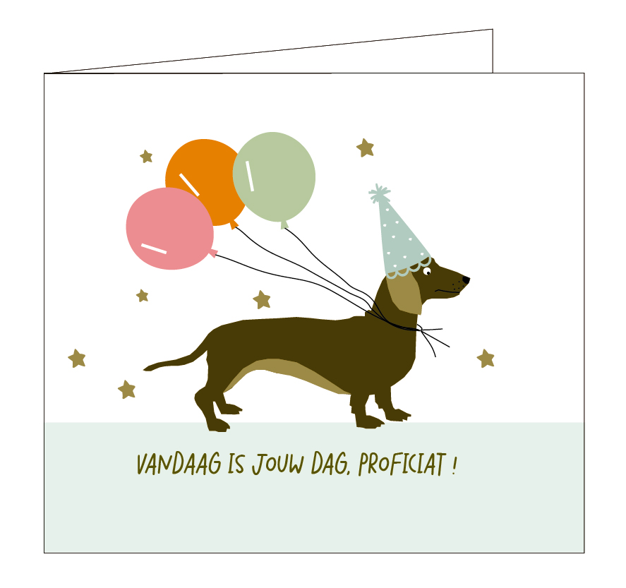 Vandaag is jouw dag ! Proficiat