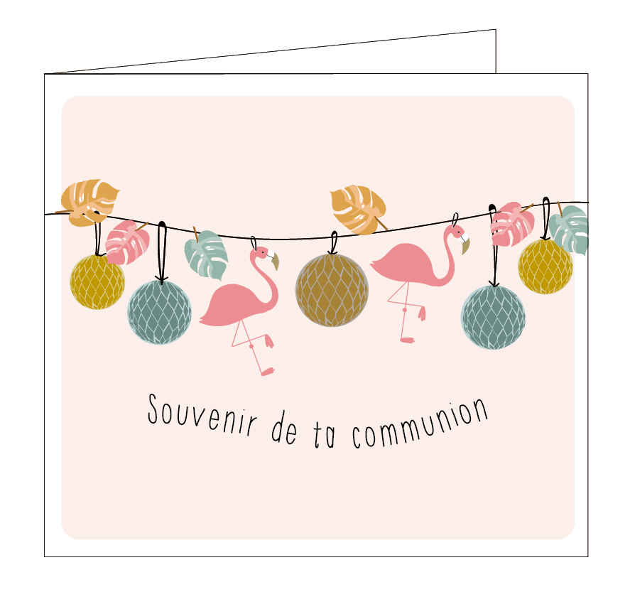 Souvenir de ta communion