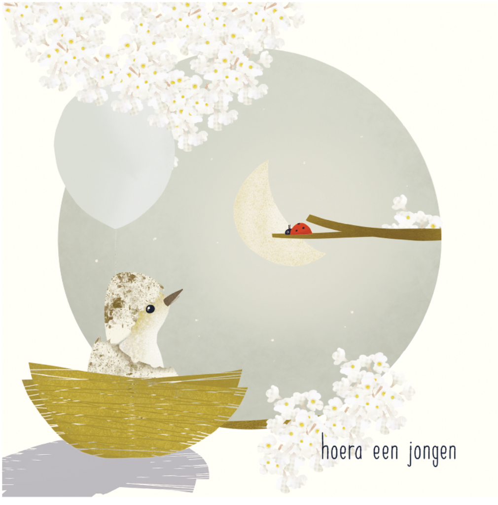 Hoera, een jongen