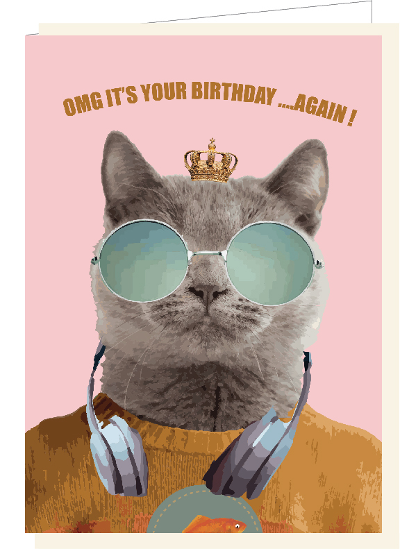 OMG it's your birthday...AGAIN !