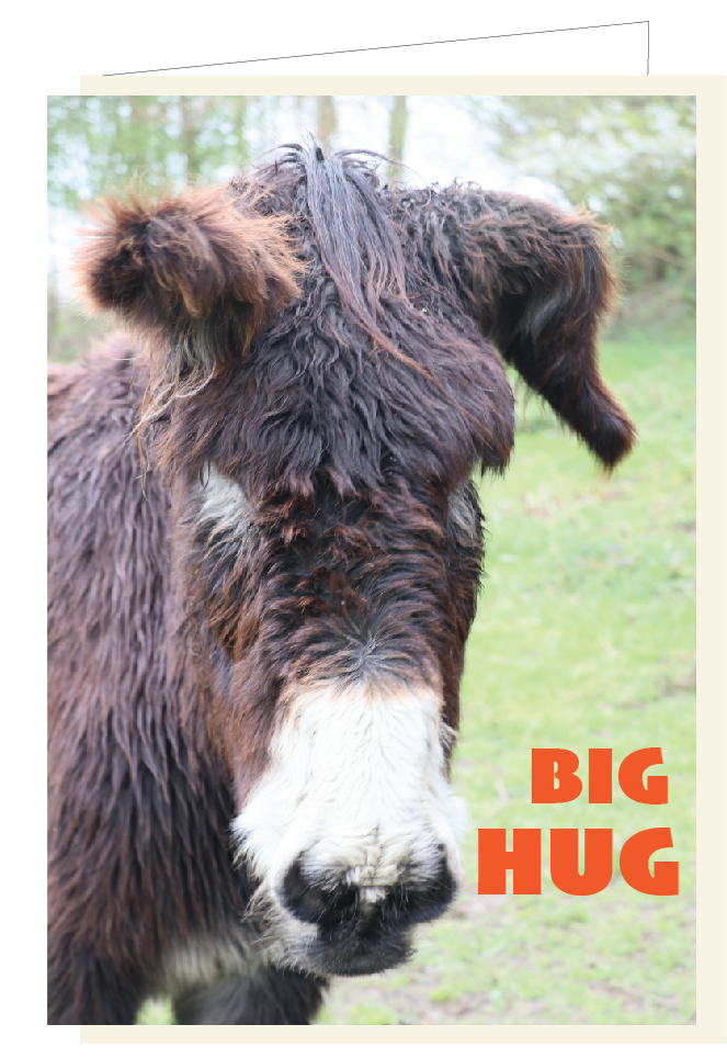 Big hug