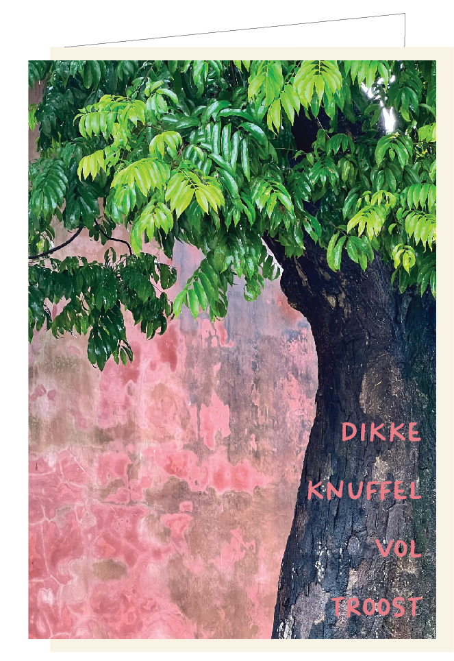 Dikke knuffel vol troost