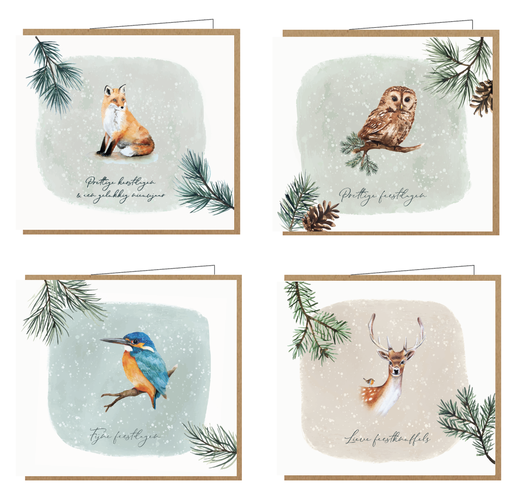 Days of bloom box 8 stuks/4 designs