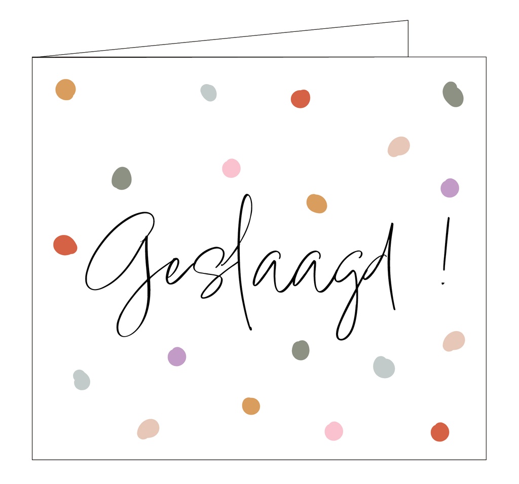 Geslaagd !