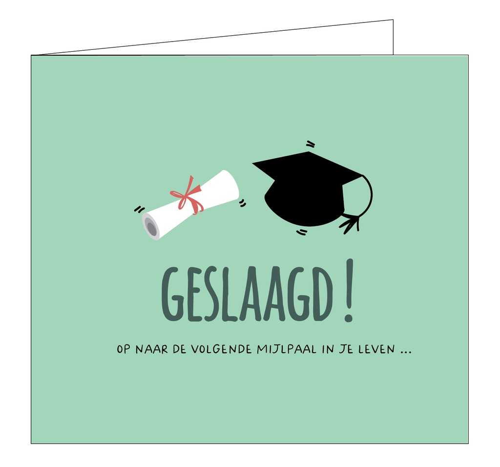 Geslaagd! Op naar de volgende mijlpaal in je leven...