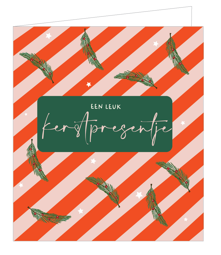 Een leuk kerstpresentje