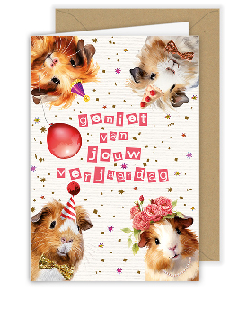 [A110] geniet van jouw verjaardag