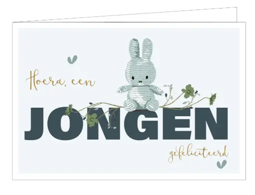 [WM025] Hoera, een jongen