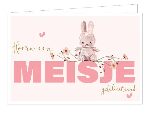 [WM024] Hoera, een meisje