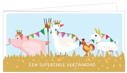 [SAM00685] Een supercoole verjaardag