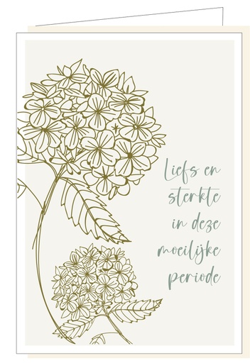 [MM1078] LIefs en sterkte in deze moeilijke periode