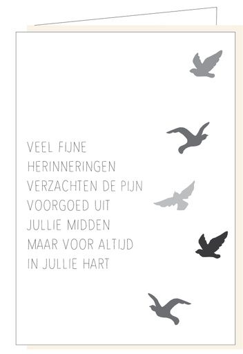 [MM1072] Veel fijne herinneringen verzachten de pijn...