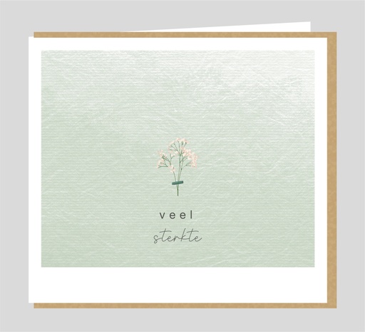 [ZZW013] Veel sterkte