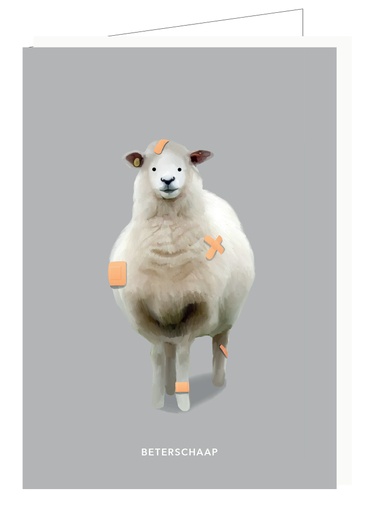 [DP017] Beterschaap