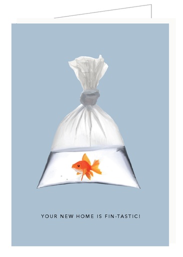 [DP019] Your new home is fin-tastic