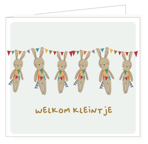 [PIPPA030] Welkom kleintje