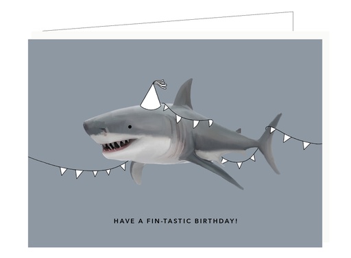 [DP103] Have a fin-tastic birthday