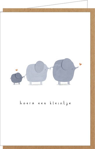 [AE117] Hoera een kleintje