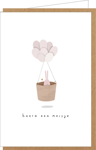 [AE119] Hoera een meisje