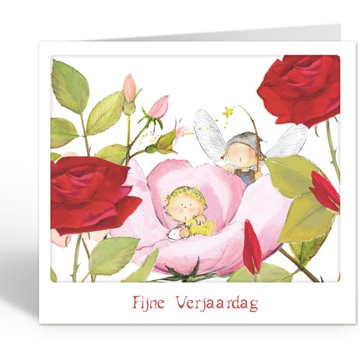 [LG22211] fijne verjaardag