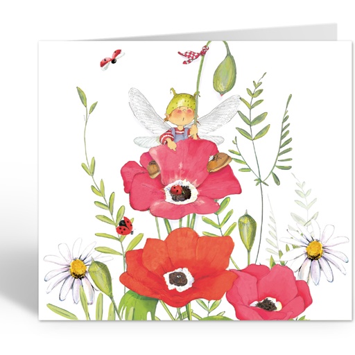 [LG22230] in de klaprozen