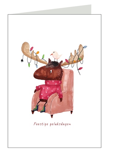 [NBAA016] Feestige geluksdagen