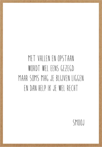 [SMJ028] Met vallen en opstaan