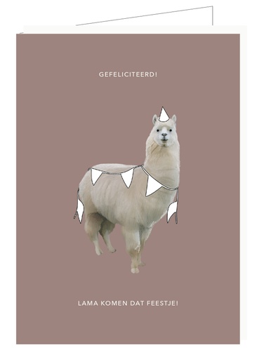 [DP035] Gefeliciteerd Lama komen dat feestje !