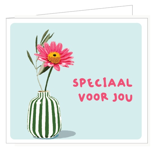 [PIPPA039] Speciaal voor jou