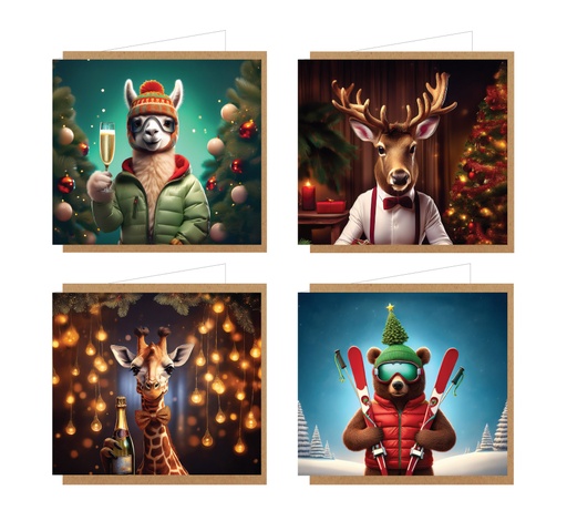 [HCBOX042] Hil Claesen box 8 stuks/4 designs