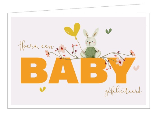 [WM013] Hoera een baby, gefeliciteerd