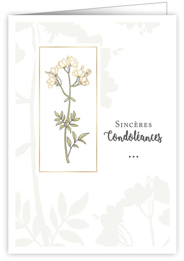 [IWF1070] Sincéres condoléances