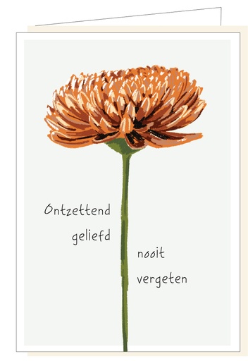 [MM1064] Ontzettend geliefd nooit vergeten