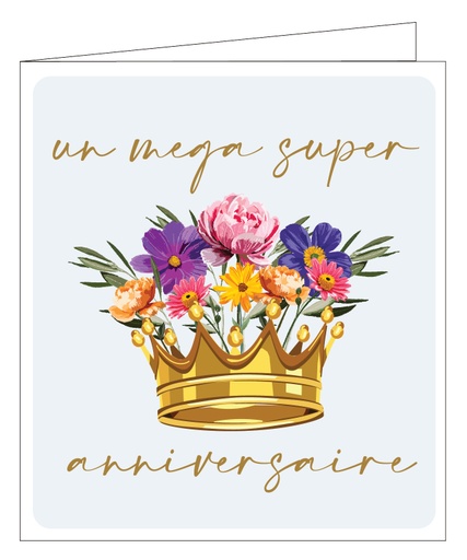 [PO884] Un méga super anniversaire