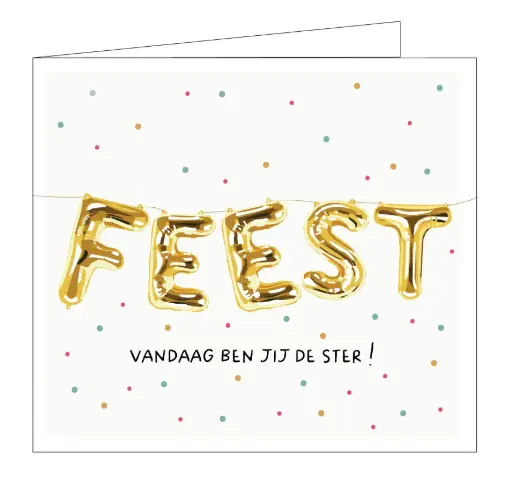[C022] Feest ! Vandaag ben jij de ster
