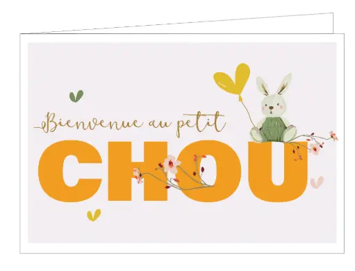 [WMF091] Bienvenue au petit chou
