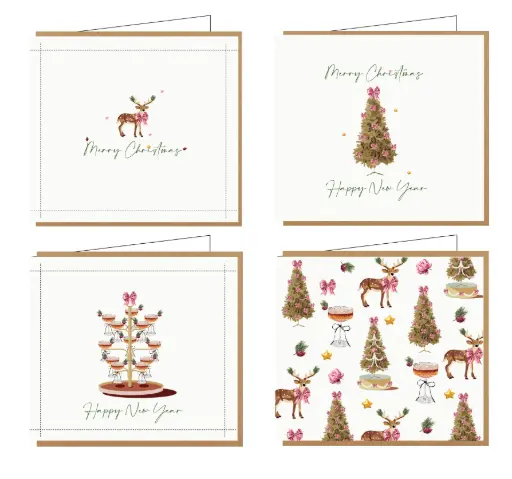 [HCBOX038] Hil Claesen box 8 stuks/4 designs