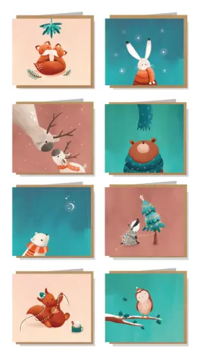 [SNBOX002] Studio Noorderlicht box 8 stuks/8 designs