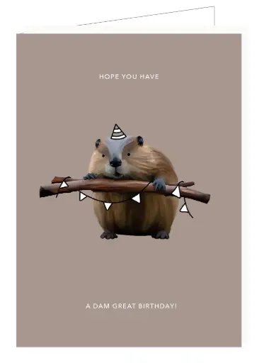 [DP041] Hope you have a dam great birthday !