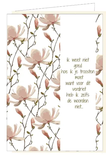 [MM1055] Ik weet niet goed hoe ik je troosten moet... 
