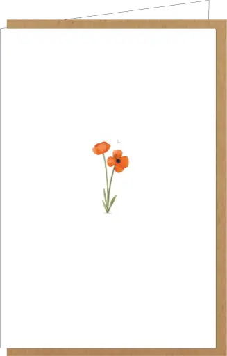 [AE141] Gefeliciteerd 