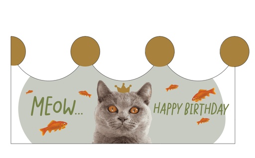 [KQ5120] Meow ! Happy Birthday