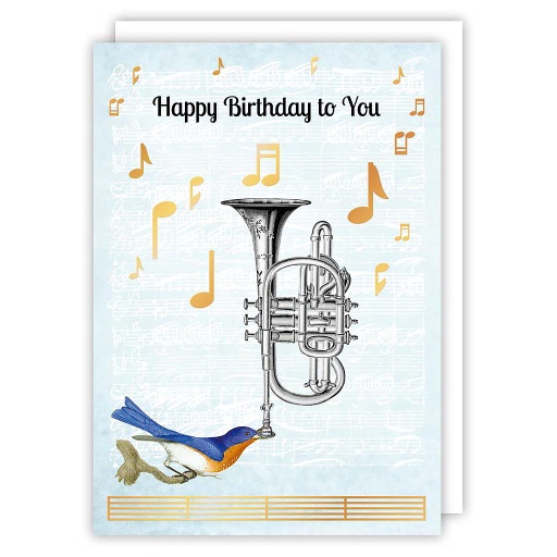 [PP1183] Happy birthday