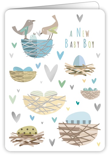 [COL5214] Baby boy