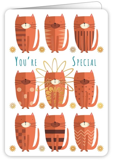 [COL5246] You're special