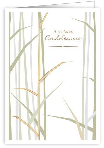 [IWF951] Sincères Condoléances