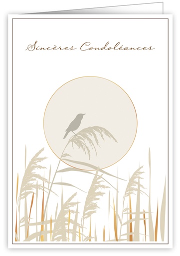 [IWF953] Sincères Condoléances