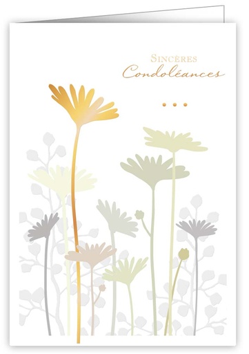 [IWF998] Sincères Condoléances