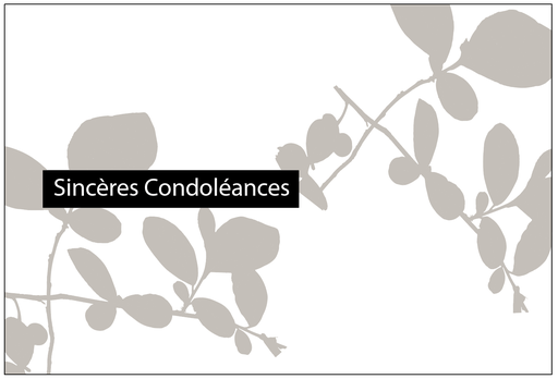 [PFR005] Sincères condoléances