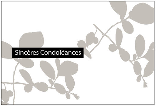 [PFR006A] Sincères condoléances